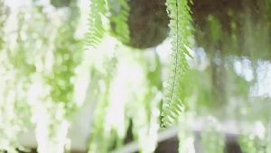 Portable USB Fan 4-inch Three-Speed Fan 360° Rotatable Head for Portable Air Adjustment Home Office Bedroom Fan