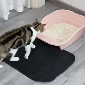 Cats Litter Mat Plastic Scatter Control for Easy Sifting Indoor Pet Supplies Scatter Control Double Layer Mat