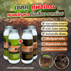 โกรว์รูธ จีวัน และมัลติพลัส ชุดคู่สุดคุ้ม4ขวด สารปรับสภาพดิน(2ขวด)+สารเร่งราก(2ขวด) เร่งใบ ปรับดินให้มีประสิทธิภาพ GrowrootG1+Multiplus