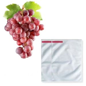Fruit Cover Paket /Pembungkus buah /Bungkus Buah di Pohon/fruitcover pembungkus easygrow isi 50pcs
