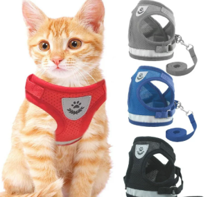 Cat leash Dog Leash with harness Leash for cats Dogs Adjustable - JC Elise