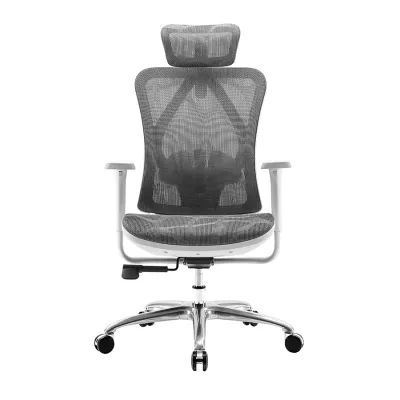 Sihoo M57C Mesh Ergonomic Home Office Chair with Footrest Ergonomic Chair 4D Armrest Study Chair Computer Chairs Office Chair for Home