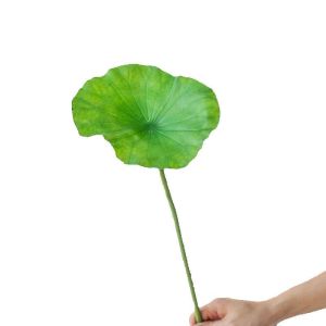 Hoa Sen Giả Trang Trí Nội Thất  Hoa Nhân tạo Cao Cấp