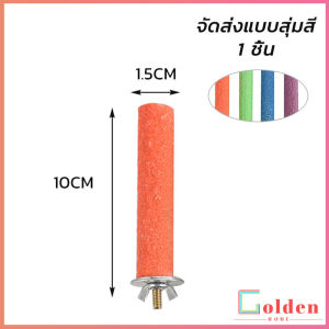 Golden ก้านไม้ของเล่นสําหรับนกแก้ว คอนลับเล็บ จัดส่งแบบสุ่มหลายสี ราคาต่อ 1 ชิ้น Wooden Bird Perch