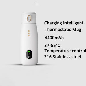 SG [READY STOCK] 500ML Portable Electric Kettles Travel Kettle Thermal Cup Tea Coffee Travel Boil Water 304 Stainless Steel LCD Display Temperature Control