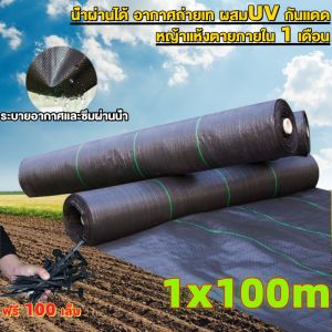พลาสติกกันหญ้า  ขนาด1x50 1x100 1.5x50 1.5x100 2x50 2x100 3x50 3x100เมตร ทนUVได้8ปี แถมหมุดตรึงฟรี100อัน สำหรับปลูกผักสวนครัว กันวัชพืช100% ส่งฟรีทั่วไทย รับประกันคุณภาพ ราคาพิเศษวันนี้
