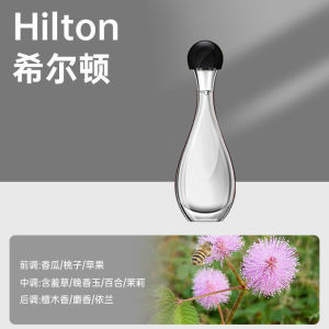 🇸🇬 ReadyStock - Room Air Freshener Spray Rechargeable Aroma Diffuser Essential Oil Diffuser Fragrance Hotel Humidifier Perfume Aromatherapy Aroma Diffuser Aroma Oil Smell 香薰机