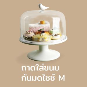 Sweet Tweet M Cake Tray ถาดใส่ขนมเค้ก พร้อมฝาครอบ ดีไซน์ นกน้อย กันมดแมลงได้ Qualy (ควอลี่)