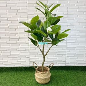 Pohon Hias Tanaman Artificial Magnolia T120 Latex Cover Pot Anyaman Purun Belly Panjangan Sudut Ruang Tamu