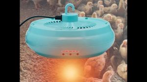 Pet Poultry Brooding Fans Lamp Thermostatic Temperature Heater Pig Duck Chicken Poultry Incubator