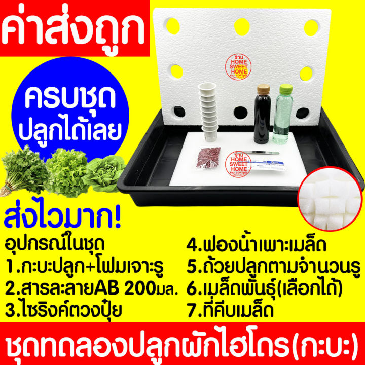 ชุดทดลองปลูกผักไฮโดรโปนิกส์ไร้ดิน