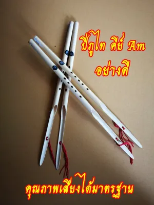 ปี่ภูไท คีย์ Am