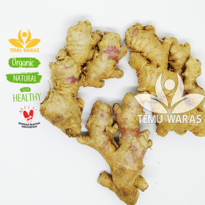 Jahe Emprit Super 1kg - Asli Gunung Grade A!