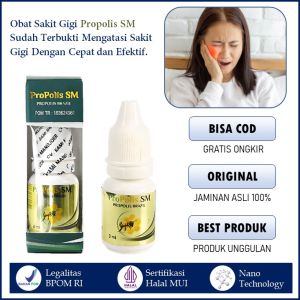 Obat Tetes Sakit Gigi Berlubang Nyeri Gigi Ngilu Sensitif Gusi Bengkak Bau Mulut Sariawan Nafas Bau Herbal Propolis SM Brazil Aman Tanpa Efek Samping