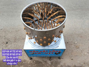 Máy làm sạch lông gà vịt inox 100% phi 60 động cơ lõi đồng