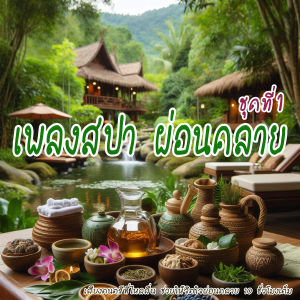 เพลงสปา mp3 (ชุดที่ 1) SPA Music สำหรับร้านนวด เพลงร้านสปา ผ่อนคลาย บำบัดจิตใจคลายเครียด แฟลชไดร์ฟ USb Mp3