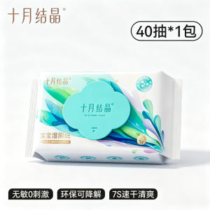 TEN‑M JOURNEY Pro‑Biotic Flushable Wet Toilet Wipes 99.9% Bacteria Removal Baby Wet Wipes