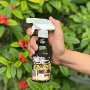Chai Dung Dịch Xịt Đuổi Chuột Châu Âu X1 - CARE 500ml - Dùng Xe Ôtô Trong Nhà Chiết Xuất Tự Nhiên