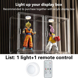 Acrylic Display Box Popmart Display Case Blind Box Pop Mart Storage Figurine Organsier