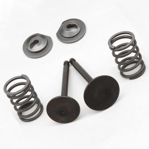 Hozzby Spring Retainer Kit Compatible With GX200 168F 170F 5.5-6.5HP Engine Includes Valve Springs And Collets For Lawnmower And Generator 【Ready Stock】