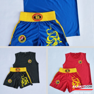 {Quần Áo Tán Thủ}   Đồ Tập Wushu Võ Cổ Truyền Vải Đẹp In Rồng Phom chuẩn AIlaikit