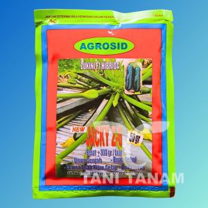 BENIH ZUKINI F1 HIBRIDA JACKY Z-6 AGROSID 50 GRAM