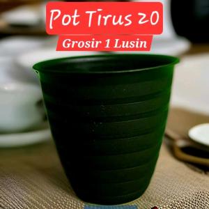 GROSIR 1 LUSIN Pot Tirus 20 / Pot Tanaman / Pot Bunga / Pot Bunga Plastik / Pot Bunga Murah / Pot Cantik