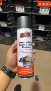 AEROPAK THROTTLE BODY CARB & CHOKE CLEANER 8301