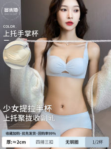 Lanrui Womens Pushup Bra for Small Breast Lift Princess Cup Plunge Bra