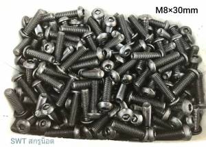 สกรูน็อตหัวจม #หัวกลม M8x30mm (ราคาต่อแพ็คจำนวน 20 ตัว)