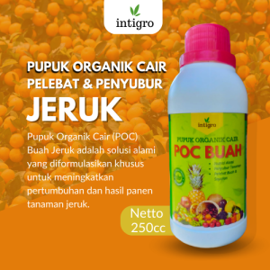 Pupuk Obat Penyubur Tanaman Buah Jeruk Nipis Limo Obat Semprot Pupuk Pelebat Buah Jeruk Bali Cair