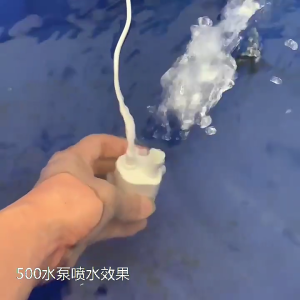 Portable 12V Submergible Pump 5 Meter Lift Quiet Operate Energy Efficient 12V Submergible Pumps for Gardening Use