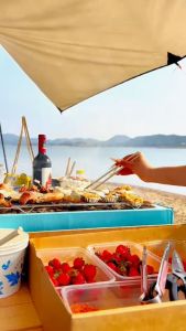 Disposable & Portable Charcoal Grill BBQ Set Biodegradable Mini Grill Charcoal Included