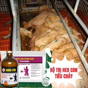 HEO CON THEO MẸ TIÊU CHẢY(ENRO-FOR 100ml +COLISUN 100G)