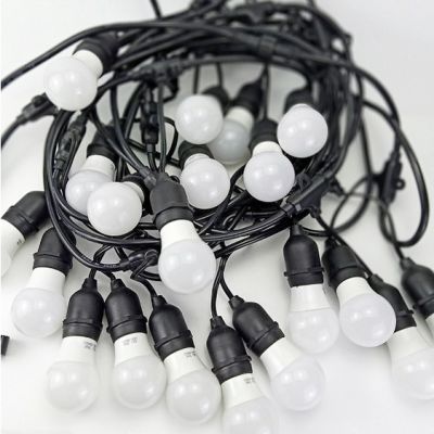 Dây đèn ngoài trời kèm bóng kín nước 3w 5 mét, 10 mét