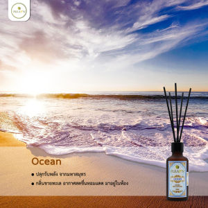 PLEARN ก้านไม้หอมปรับอากาศ 50ml Aroma Reed Diffuser ( ก้านไม้แบบfiber ) ห้องหอมสดชื่น ก้านไม้หอม น้ำหอมปรับอากาศ
