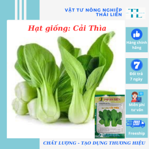 Hạt giống rau cải thìa hàng công ty Thuận Điền