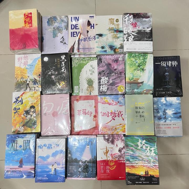BOOKS【本地现货】白色橄榄树/白日梦我/偷偷藏不住/撒野 青春文学言情校园小说言情小说耽美小说自我提升小说 | Lazada