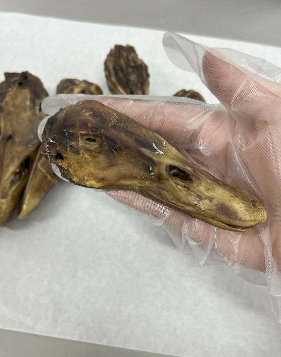 Dehydrated Homemade Duck Head for Pet 宠物风干鸭头 烘干鸭头 Lazada