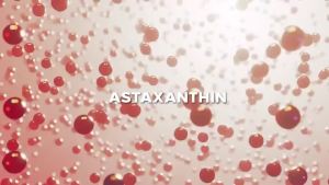 COOLKIN Astaxanthin Auxiliary agents powerful scavenging ability for lipid and free radicals - 30/60/120 COUNT