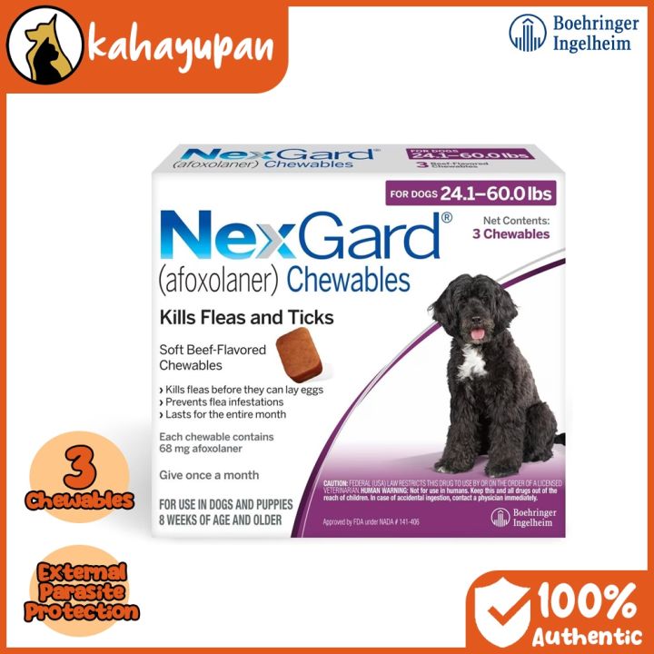 Nexgard Anti Tick and Flea Chewable for 10-25kg Dogs | Lazada PH