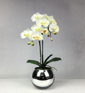 OrientalFineArt กระถางดอกไม้ประดิษฐ์ ดอกไม้ปลอมเกรดพรีเมี่ยมตกแต่งบ้าน ดอกกล้วยไม้สีขาวจัดในแจกันแก้วสีเงิน