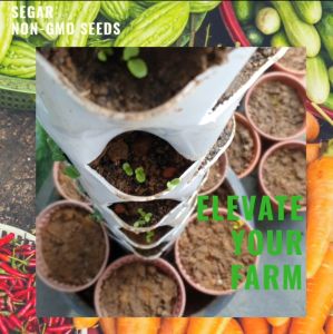 Vegetable Seed/Biji Benih SEGAR