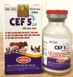 "Hoàn tiền đến 10%" Ceftiofua lọ 20ml tác dụng kéo dài điều trị tích cực viêm phối viêm vú viêm tiết niệu tai xanh lở mồm long móng. Thú y trường thịnh