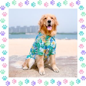 【Hot demand】 Whisker InnoPet Dog Clothes Pet Clothes Dog Costume for Golden Retriever Labrador Summer Thin Style Polyester Material Hair Loss Prevention Abrasionproof