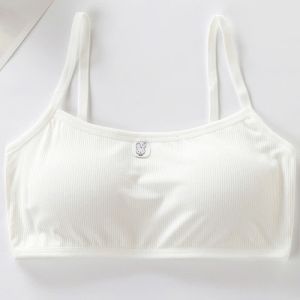 Áo Lót Lá Học Sinh Cho Bé Gái Cotton Hình Thỏ Áo Lá Có Mút Mỏng Hai Dây Freesize (30-45kg) Loại Đẹp AL1104 (MÃ 6059/ bra thỏ)