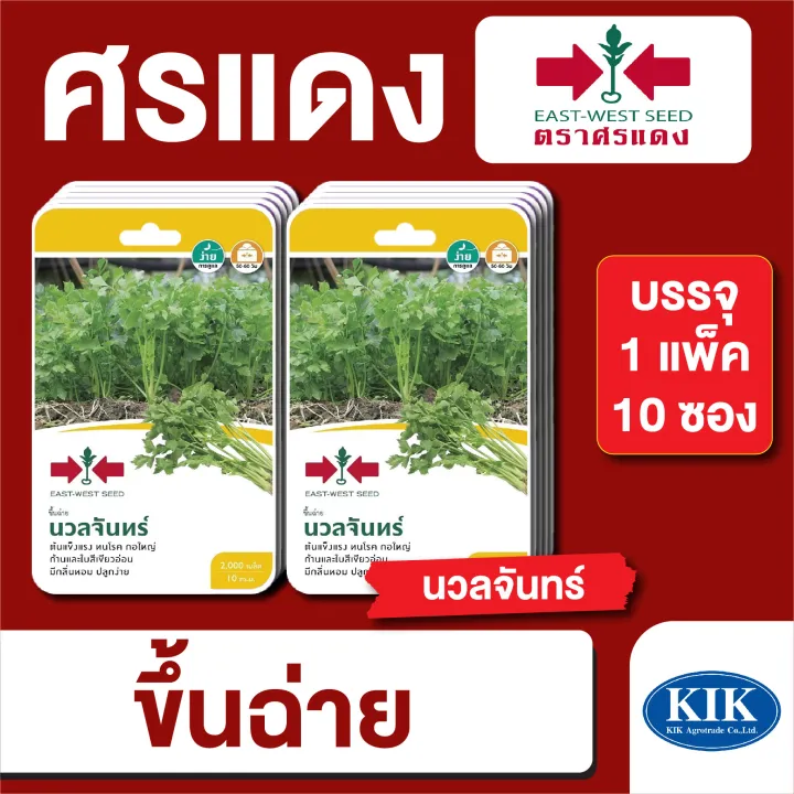 10 อันดับเมล็ดพันธุ์ผักและดอกไม้ยอดนิยม ปลูกง่าย ให้ผลผลิตดี อัปเดตปี 2025