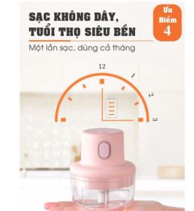 [GIÁ SỈ ] Máy xay tỏi ớt xay ớt xay đa năng mọi thứ tiện lợi 250ML máy xay cho bé ăn dặm máy xay sinh tố đa năng