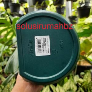 FLOWER POT DINDING berkualitas WALLPOT LIONSTAR POT TANAMAN Pot Tempel Lion Star Lotus fh 11 fh11