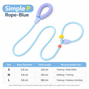 All-in-One P Rope Slip Leash for Dogs Training Walking Outdoor Use